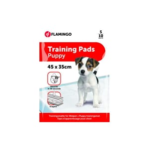 Trainings Pad Pady S 10stk 45x35cm