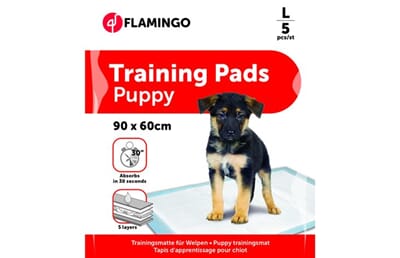 69FL1031320 1031320_V_01.jpg