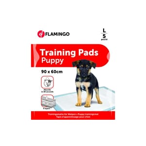 TrainingsPad Pady L 5stk 90x60cm