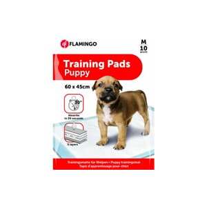 Trainings Pad Pady M 10stk 60x45cm