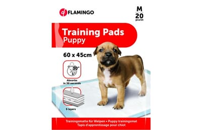 69FL1031322 1031322_V_01.jpg