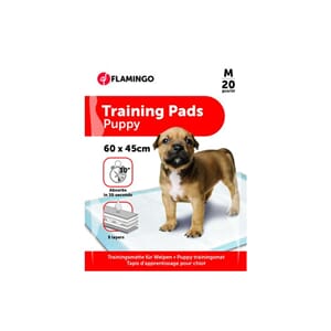 Trainings Pad Pady M 20stk 60x45cm