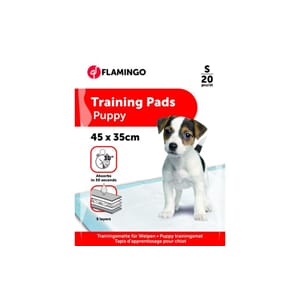 Training Pad Pady S 20stk 45x35cm