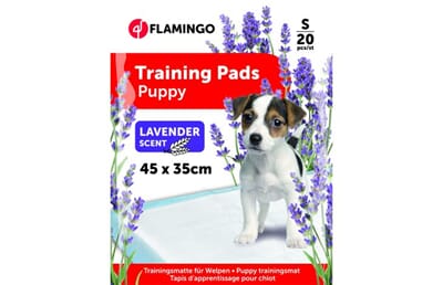 69FL517531 517531_V_01.jpg