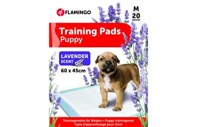 69FL517532 517532_V_01_1.jpg