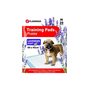 Training Pad Pady M Lavendel 20stk 60x45cm