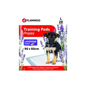 Trainings Pad Pady L Lavendel 90x60cm
