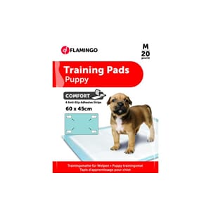 Training Pad Pady M Comfort 60x40cm