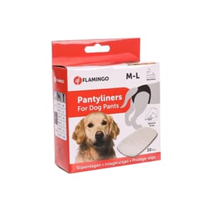 Panty Liner M  for tispetruse M-L 30stk