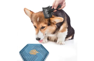 62FL521748 521748_A_01.jpg