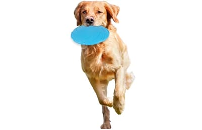 62FL517807 517807_S_01.jpg