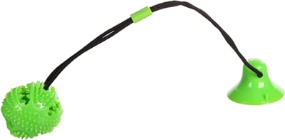 62FL522661 522661_E_01.jpg