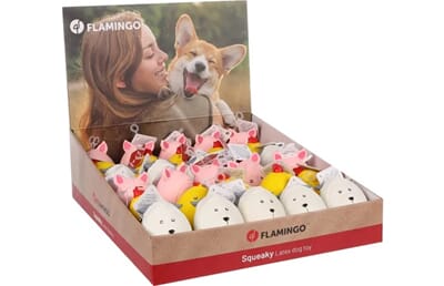 62FL522969 522969_V_02_1.jpg