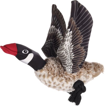 62FL522359 522359_E_01.jpg