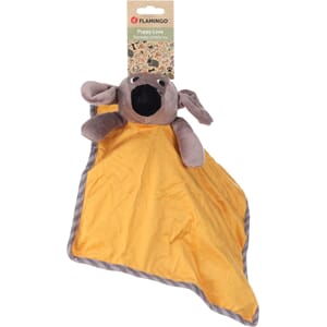 Valpeleker og småhund leker