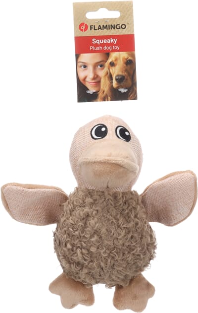 62FL525031 525031_V_01.jpg