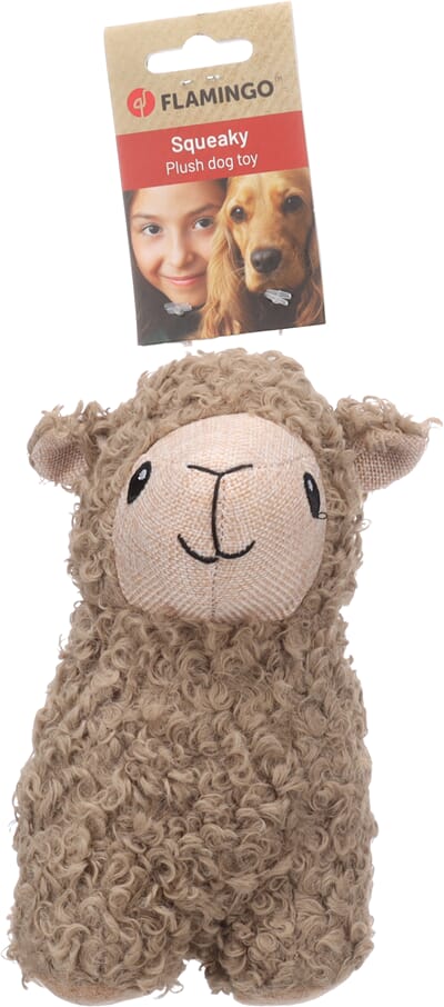 62FL525032 525032_V_01.jpg