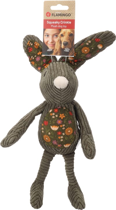 62Fl525516 525516_V_01.jpg