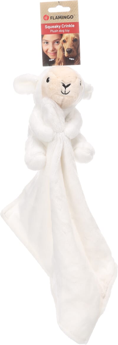 62FL525888 525888_V_01.jpg