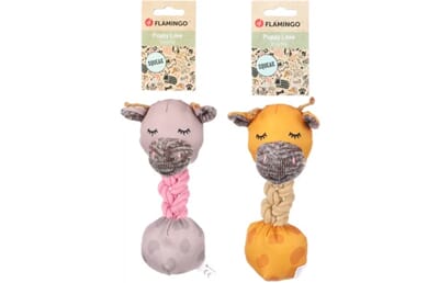 62FL523626 523626_V_01_1.jpg