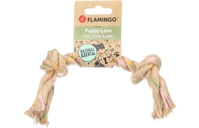 62FL523699 523699_V_01_1.jpg