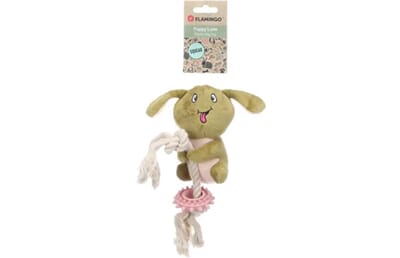 62FL524079 524079_V_01.jpg