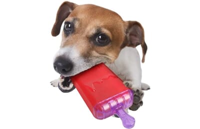 62FL515865 515865_D_01.jpg