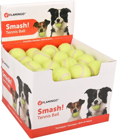 62FL518481 518481_V_02.jpg