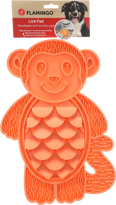 62FL523970 523970_V_01.jpg