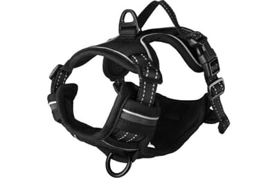 67FL519159 519159_E_01.jpg