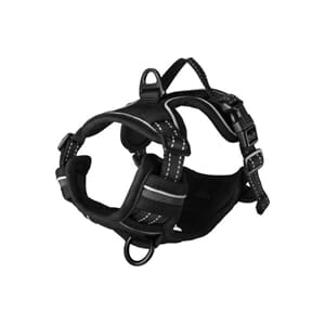 Balou sele Black S Neck 31-55cm Chest 40-55cm, 20mm