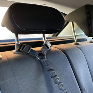 Bilbelte for nakkestøtte  Ramone 2cm 15kg