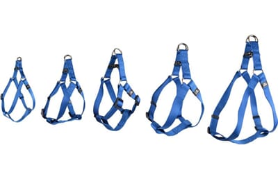 67FL519897 519898_G_01.jpg