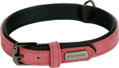 66FL519280 519280_E_01.jpg