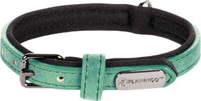 66FL519290 519290_E_01.jpg