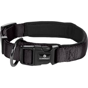 Abby halsbånd S 35-40cm 20mm svart m/neopren