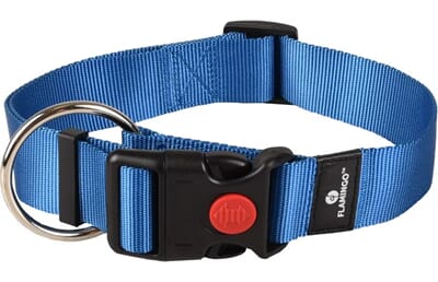 66FL519895 519895_E_01.jpg