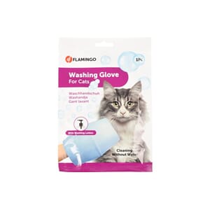 Washing glove katt