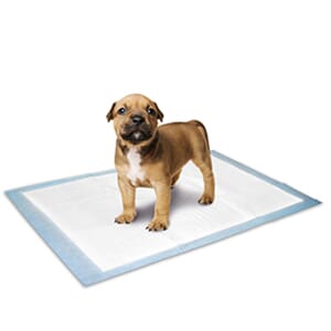 Puppy Pads tissematter