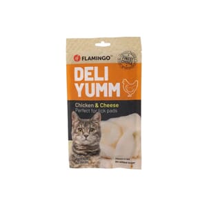 Deli Yumm Paste with chicken & Cheese