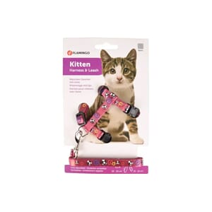 Kattungesele topo mouse pink