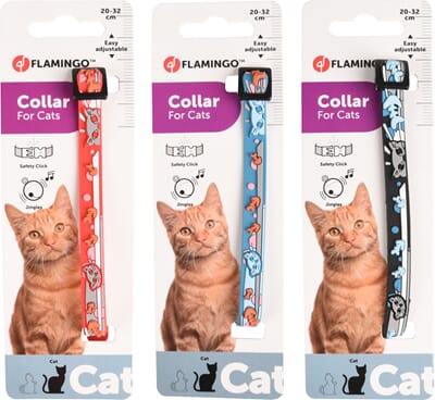 79FL560949 560949_V_01.jpg