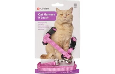 79FL1031205 1031205_V_01_1.jpg