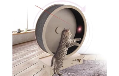 72FL561280 561280_S_01.jpg