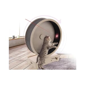 Katt Treningshjul M 75x33x93cm