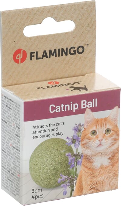 72FL562066 562066_V_01.jpg