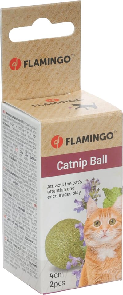 72FL562067 562067_V_01.jpg