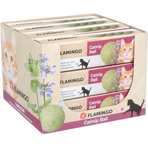 Catnip leker og catnip spray