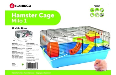 55FL210130 210130_V_01_1.jpg