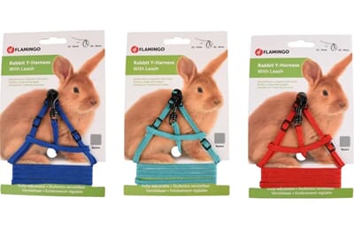 53FL201702 201702_V_01_1.jpg